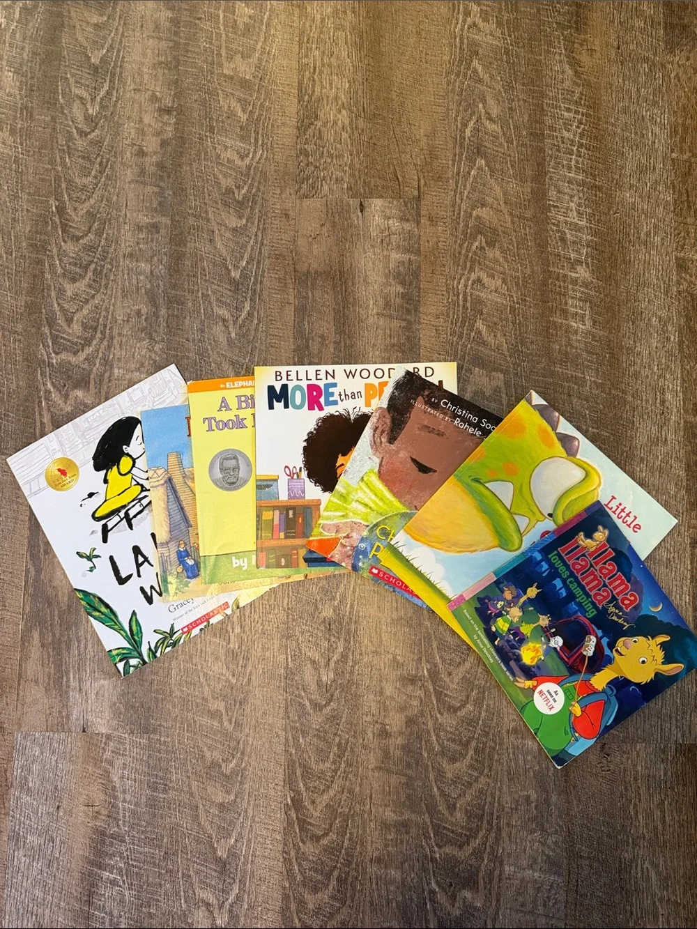 Bundle of kids books